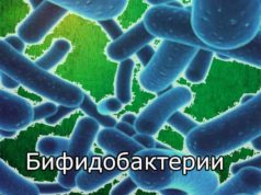 Для чего нужны бифидобактерии?