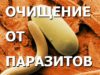 Способы чистки организма от паразитов