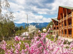 Эко-курорт: роскошный отдых в гармонии с природой