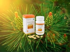 Сосновая пыльца: применение в народной медицине