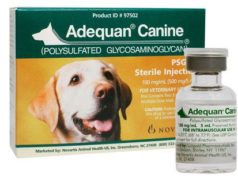 Ветеринарная интернет-аптека: плюсы