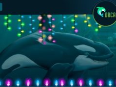 Что предлагает игрокам казино Орка?