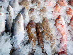 Влияние заморозки на вес рыбы и ее пищевую ценность