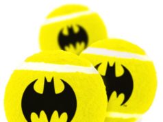 Чем отвлечь пушистого хулигана от домашних разрушений?