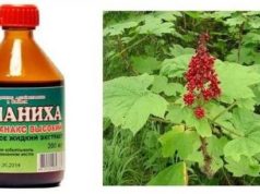 Настойка заманихи лечебные свойства и применение.