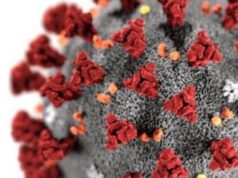 Как сдать тест на антитела к коронавирусу COVID 19?