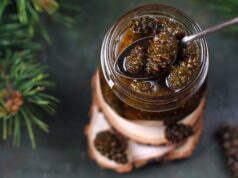 Варенье из сосновых шишек: укрепление вашего иммунитета