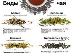 Основные разновидности чая