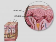 Как восстановить нормальный уровень меламина в крови?