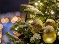 Какие подарки принято дарить на Новый год в разных странах мира?