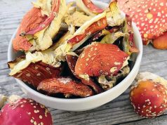 Лечебные свойства красного и пантерного мухомора