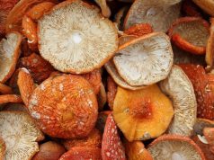 Для чего нужен сушенный мухомор?