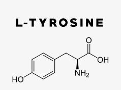 Роль тирозина в организме