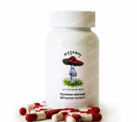 Рекомендации по приёму красного мухомора в качестве микродозинга