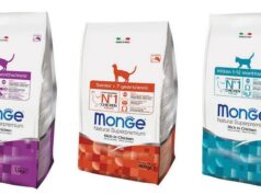 Особенности сухих кормов Monge для кошек и котов