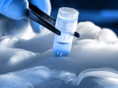 ЭКО с ИКСИ и криопротокол: можно ли заморозить эмбрионы?