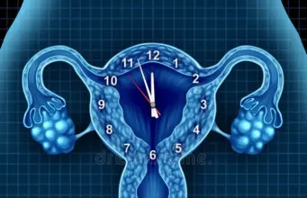 Возраст и овариальный резерв: когда начинается его снижение?